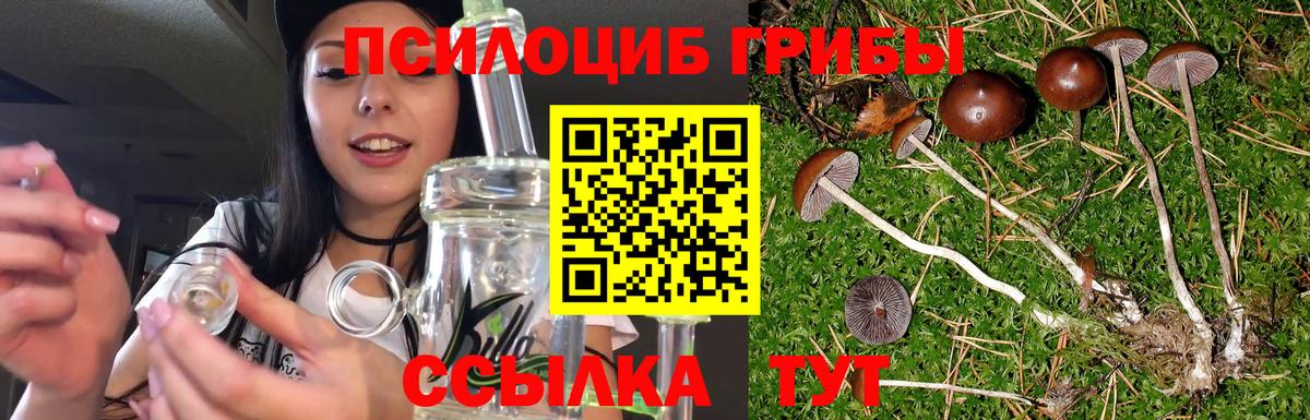 Магнитогорск  Галлюциногенные грибы мицелий  Псилоцибиновые грибы Magic Shrooms  Вход с VPN 